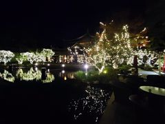 -杭州西子湖四季酒店-WL BISTRO西湖餐厅(灵隐路店)