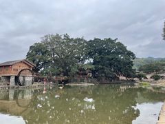 -云水谣景区