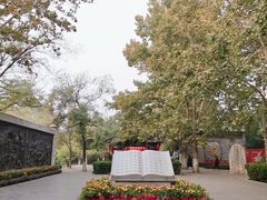 -大槐树寻根祭祖园