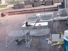 -UNI UNI(环亚凯瑟琳店)