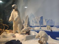 -陕西自然博物馆