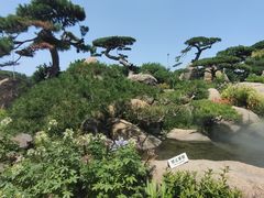 -罗红摄影艺术馆