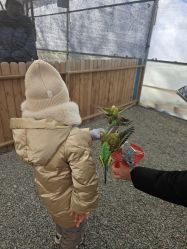 -萌宠亲子动物乐园(槐房万达店)