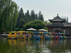 -团结湖公园