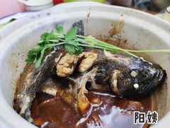 招牌香锅龙胆斑-鑫鸿达·海鲜闽菜热炒小馆(中山路店)