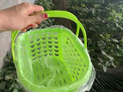 -大自然农场蔬菜草莓采摘园
