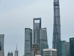 -蟹上黄·蟹黄面·江南糖水(人民广场店)