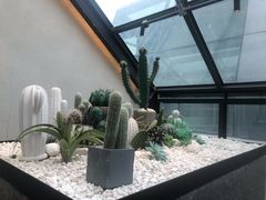 -大树餐厅(红旗街万达店)