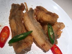 招牌盐酥九肚鱼-琥珀·原创臻选店(维家思店)