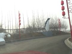 -东方华地城湿地温泉度假区
