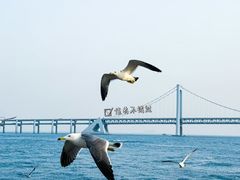 -长岛南北长山旅游景区