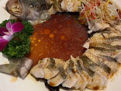 -博雅渔港·融合菜(维也纳国际大酒店)