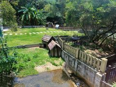 -广东惠东海龟国家级自然保护区