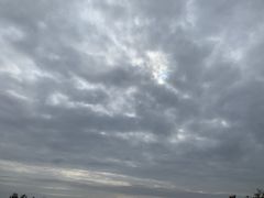 -春花秋色城市公园