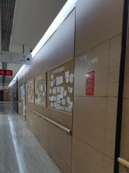 -上海首尔丽格医疗美容医院