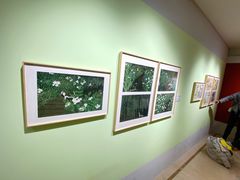 -【朵云轩艺术中心】博洛尼亚插画展·中国巡展·上海站