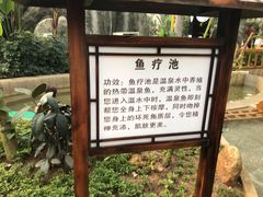 -麦积山温泉