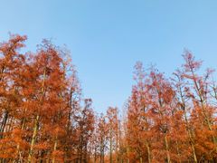 -凤凰沟景区