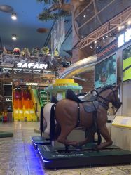 -卡通尼·Safari非洲探索乐园·生日会(金桥国际商业广场店)