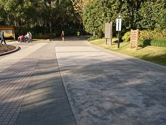 -黄兴公园