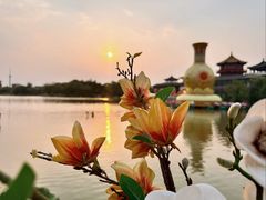 -中国翰园碑林