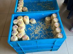 -季氏祖传光明食品店(长泾老街店)