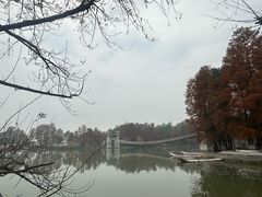-东湖落雁景区