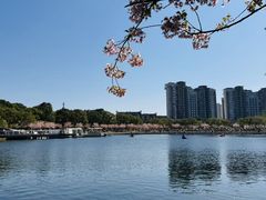 -新江湾城公园