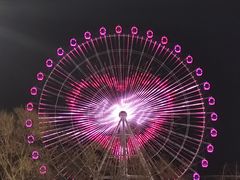 -琴岛之星摩天轮