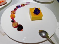 -PARFUM FLORAL花境法餐(南京首店)