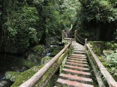 -青城山