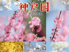 -天津水上公园