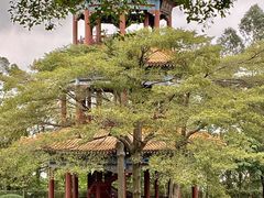 -广州莲花山旅游区