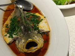 -维园悦谱·海派家常菜(乌鲁木齐南路店)