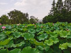 -沐仙湖湿地公园