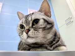 -北京博爱动物医院有限公司