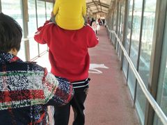 -新疆天山野生动物园