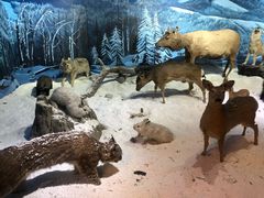 -呼伦贝尔民族博物馆