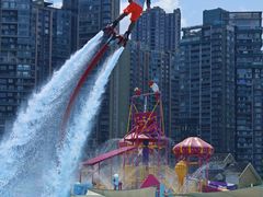 -海合安成都极地海洋公园