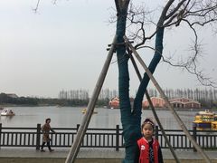 -上海长兴岛郊野公园