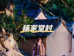 -杨家堂村
