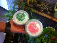 -狐狸家·酸奶酪专门店(平江路店)