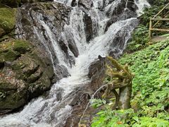 -莫里热带雨林景区