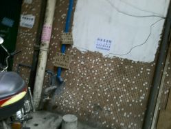 -玛瑞莎·儿童·亲子摄影(越秀店)