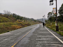 -习家池