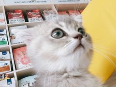 -乐琪宠物医院·犬猫专科·骨外科·急重症