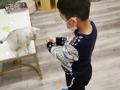 -BABIT巴比特宠物(MOMOPARK店)