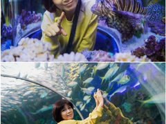 -瑞普利水族馆