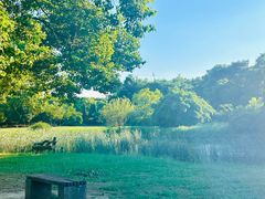 -艾溪湖湿地公园