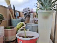 -大润发(合川店)